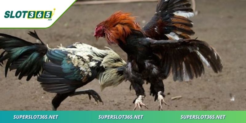 Những yếu tố chính thúc đẩy sự lan tỏa mạnh mẽ